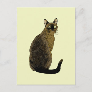 Burmese Cat Postkarte