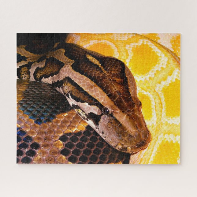 Burmese Python Snake Puzzle (Horizontal)