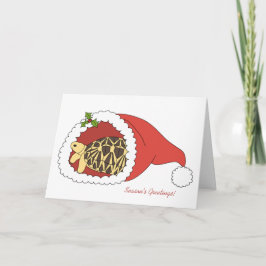 Burmese Star Tortoise Christmas Card (Weihnachtsma Feiertagskarte