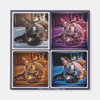 Burmesen kubisch magnet