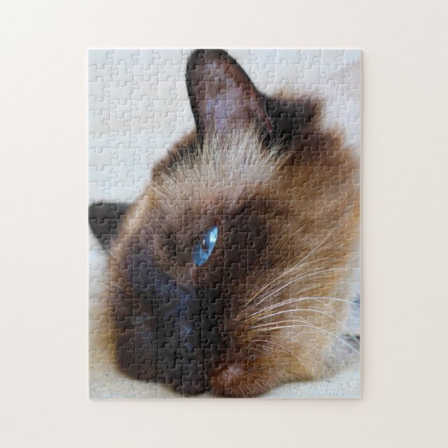 Burmische Katze. Puzzle (Vertikal)