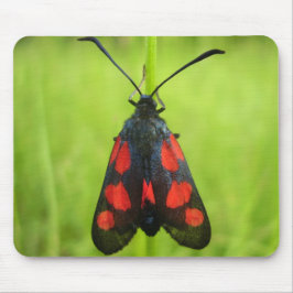 Burnet Moth Mouse Mat mit 5 Spot Mousepad
