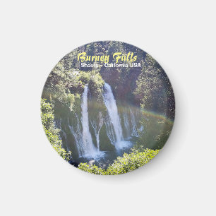 Burney-Fallmagnet Magnet