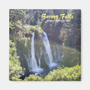 Burney fällt magnet