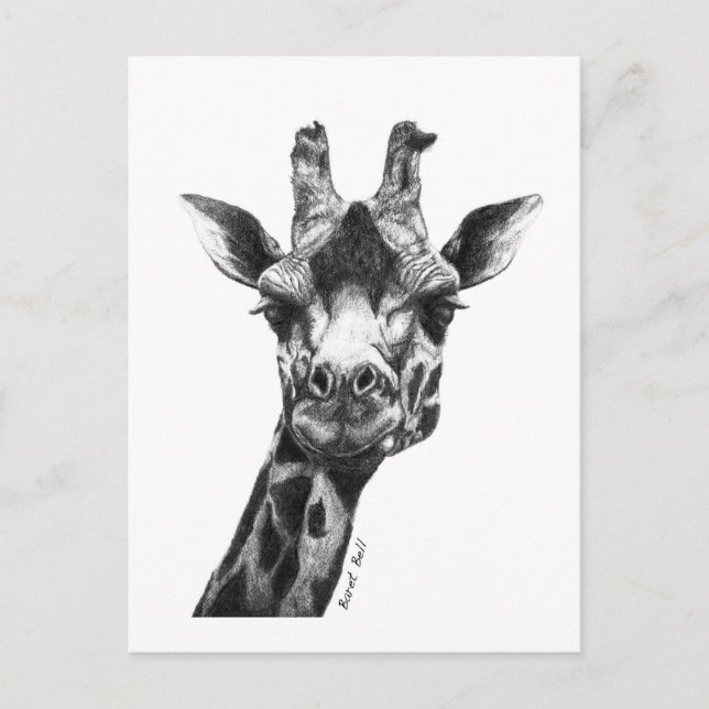 Burney the Giraffe Postkarte (Vorderseite)