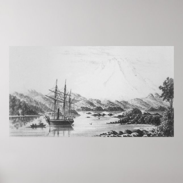 Burney von den Otter Islands Poster (Vorne)