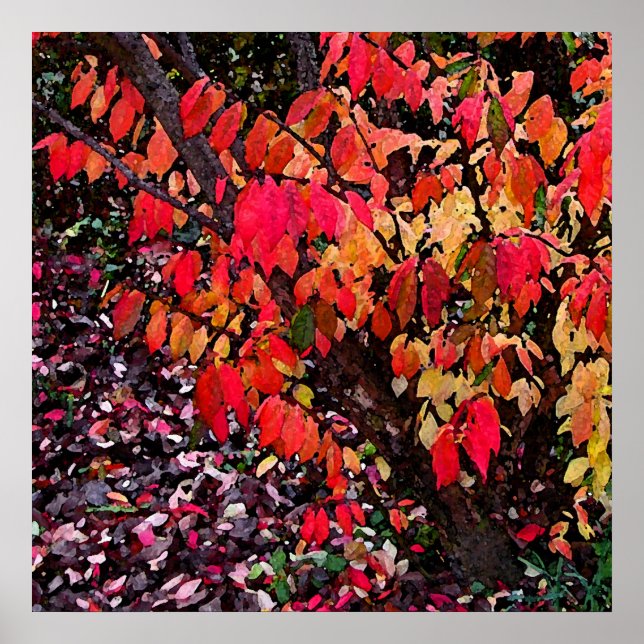 Burning Bush Abstrakt Poster (Vorne)