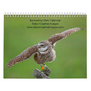 Burning Owl 2025 Kalender