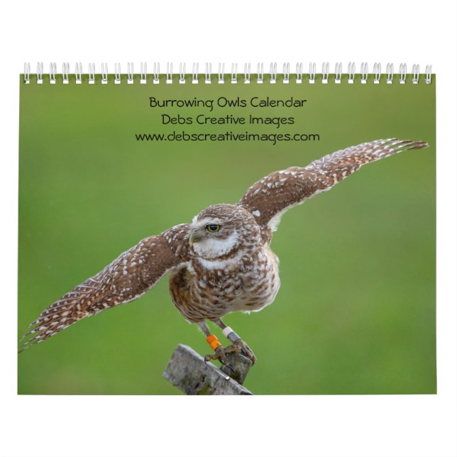 Burning Owl 2026 Kalender (Titelbild)