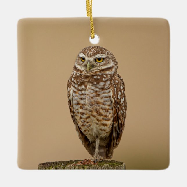 Burning Owl Keramik Ornament (Vorderseite)