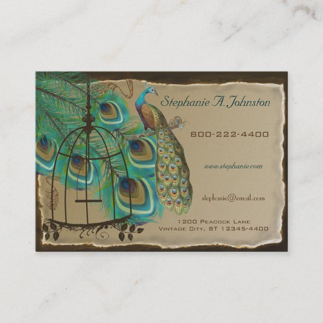 Burnt Edges Vintag Peacock Feathers Birdcage Visitenkarte (Vorderseite)