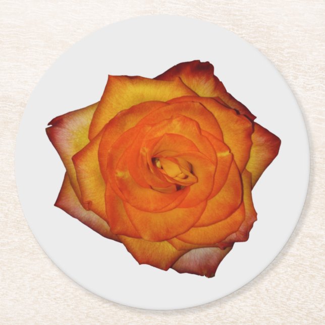 Burnt Orange Rose Paper Untersetzer (Vorderseite)