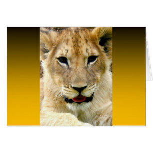 Burnt Orange Two Tone