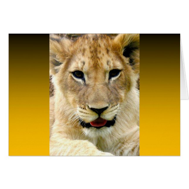 Burnt Orange Two Tone (Vorderseite (Horizontal))