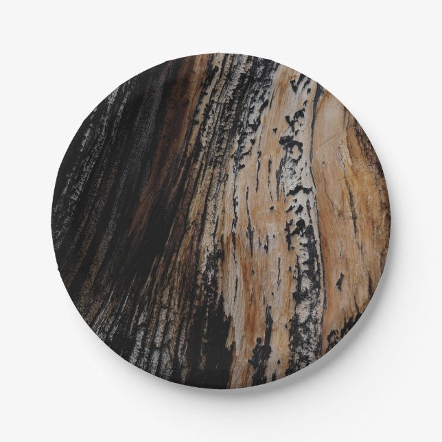 Burnt Tree Bark Pappteller (Vorderseite)