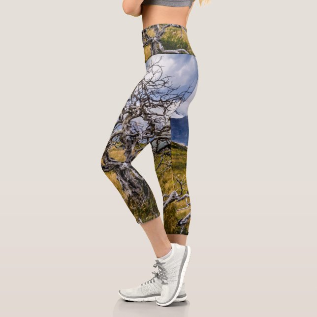 Burnt tree, Torres del Paine, Chile Capri Leggings (Links)