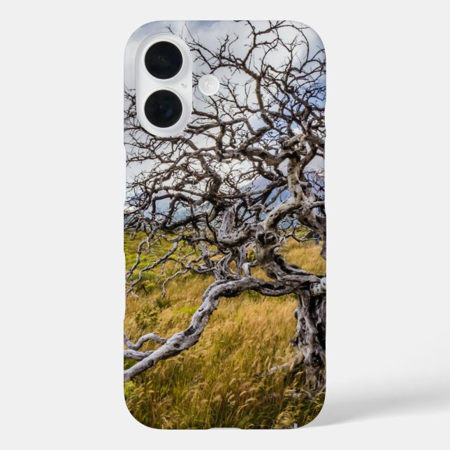 Burnt tree, Torres del Paine, Chile Case-Mate iPhone Hülle (Rückseite)