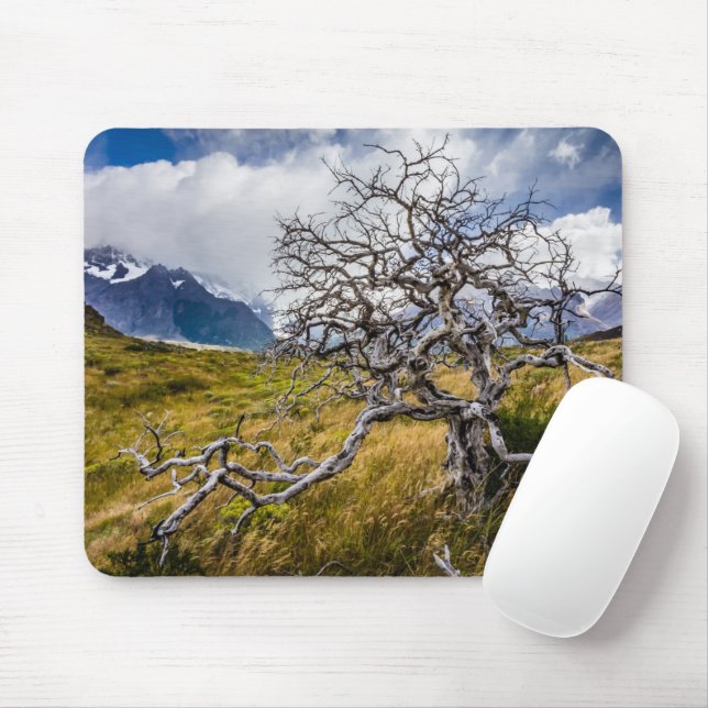 Burnt tree, Torres del Paine, Chile Mousepad (Mit Mouse)