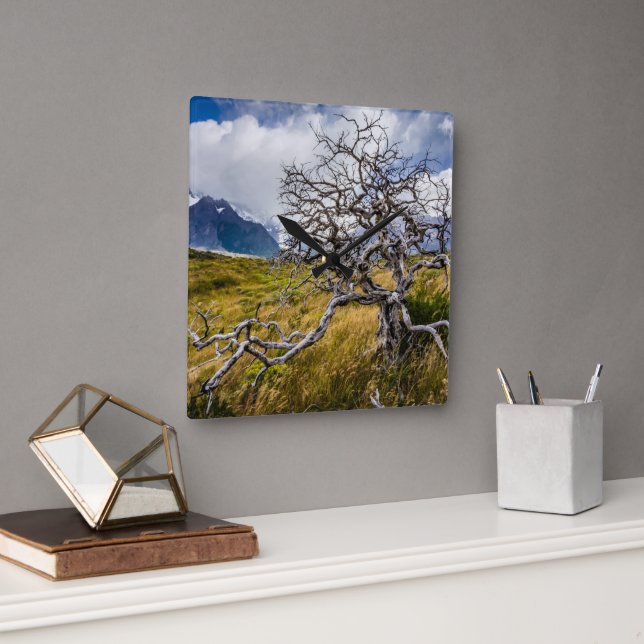Burnt tree, Torres del Paine, Chile Quadratische Wanduhr (Büro)