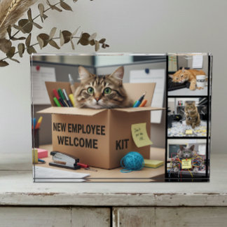 Büro-Spaß-Katzen-Foto, Stadt, Business-Katze Fotoblock