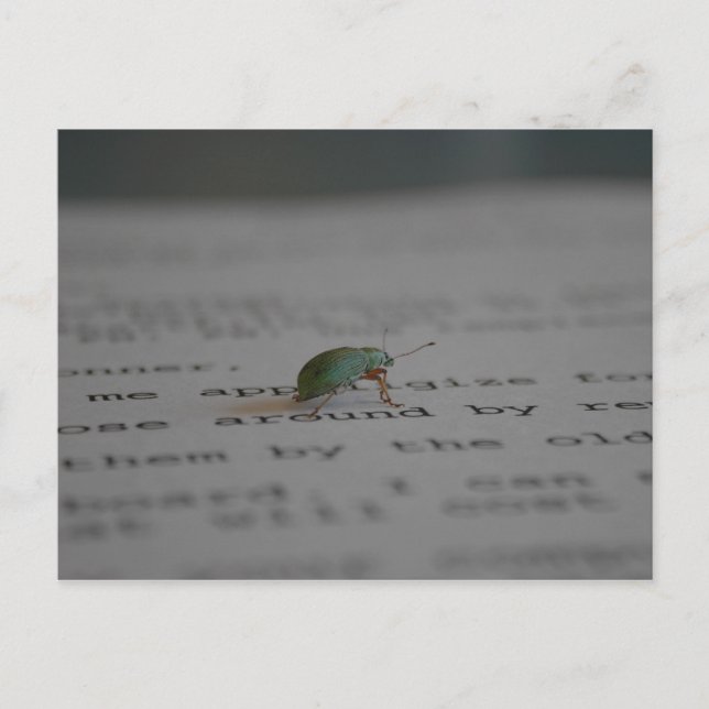 Bürofehler Postkarte (Vorderseite)