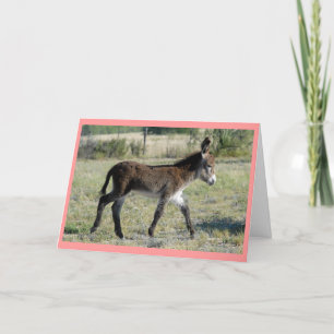 "Burrito-Baby-Karte " Ankündigung