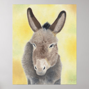 Burro Art Print Poster