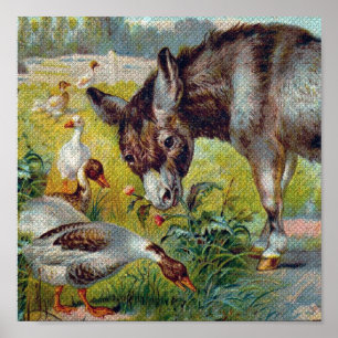 Burro und Gänse Poster
