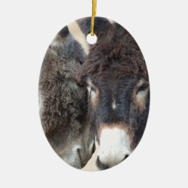 Burro-Verzierung Keramik Ornament (Vorne)