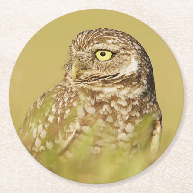 Burroing Owl Nah Up Profile Paper Untersetzer (Vorderseite)