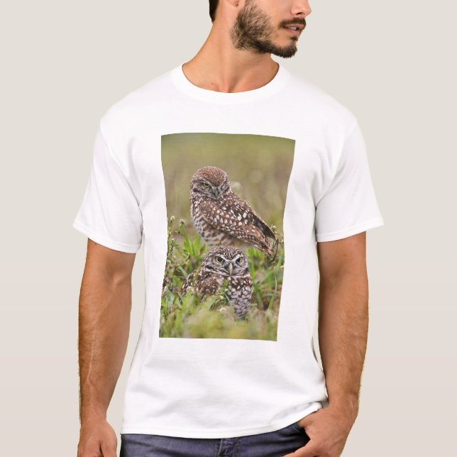 Burrowing Owl, Athene cunicularia, Cape Coral, T-Shirt (Vorderseite)