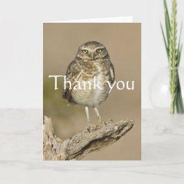 Burrowing Owl auf einer Cholla Rib Dankeskarte