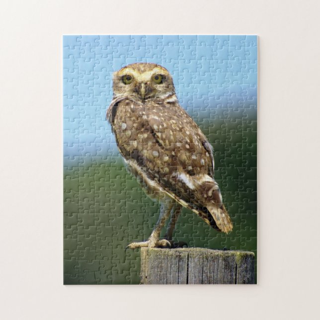 Burrowing Owl Bird of Prey Jigsaw Puzzle (Vertikal)