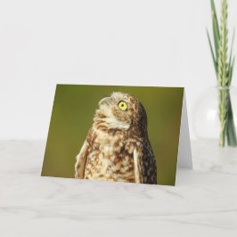 Burrowing Owl Notecard Karte