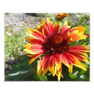 Bursting Bright Fotodruck