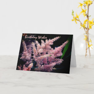 Bursting Pink Blume Geburtstag Karte