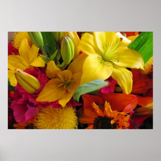 Bursts of Colors Poster