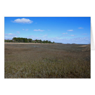 Burton Island Naturschutzgebiet