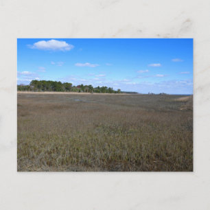 Burton Island Naturschutzgebiet-Pfad Postkarte