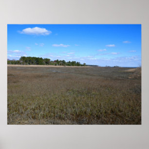 Burton Island Naturschutzgebiet Poster