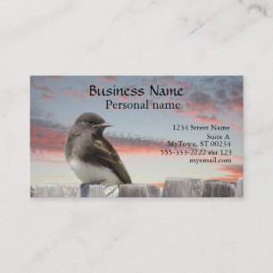 Bus. Karte - Vögel auf Zaun bei Sonnenuntergang