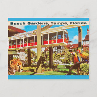 Busch Gardens Tampa Florida Postkarte