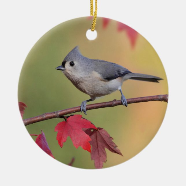 Büschelige Titmice Keramikornament (Vorne)