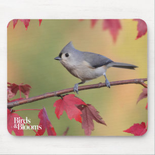 Büschelige Titmice Mousepad