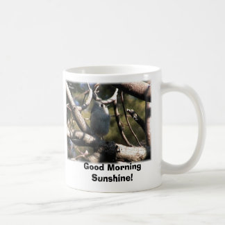büscheliger Titmouse, guter Morgen-Sonnenschein! Tasse