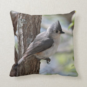 Büscheliger Titmouse im Frühjahr Kissen