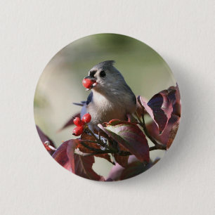 büscheliger Titmouse mit Beere Button