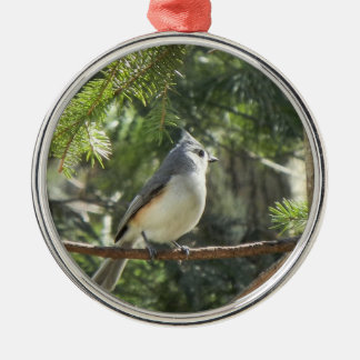 Büscheliger Titmouse Ornament Aus Metall