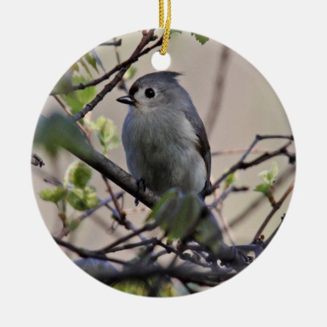 Büscheliger Titmouse-Verzierung Keramikornament (Vorne)