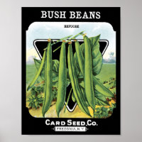 Bush Beans Card Seed CoPäckchen Vintag Fredonia